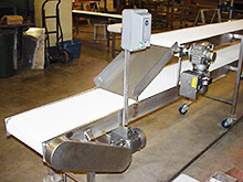 Custom Stainless Steel Conveyors